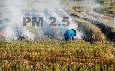 Czy zgorzel gazowa jest zaraźliwa?