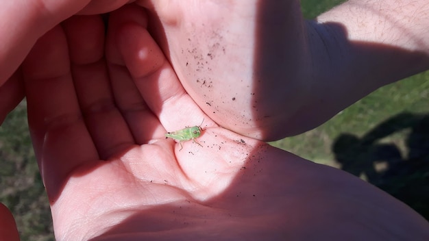 Pasożyty objawy wysypka czy te dolegliwości mogą być ze sobą powiązane?