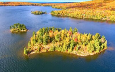 Siódemka ile kanałów można wykonać podczas leczenia zęba?